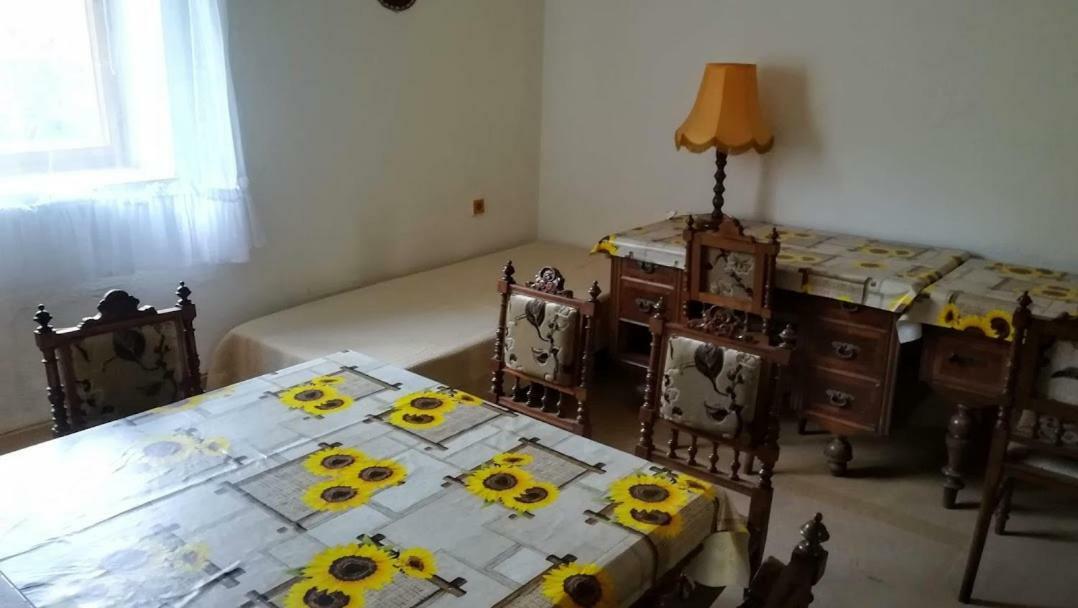 Appartement Pronajem Pokoju Belle Vue à Vranov nad Dyjí Extérieur photo