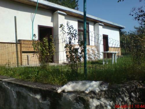 Appartement Pronajem Pokoju Belle Vue à Vranov nad Dyjí Extérieur photo